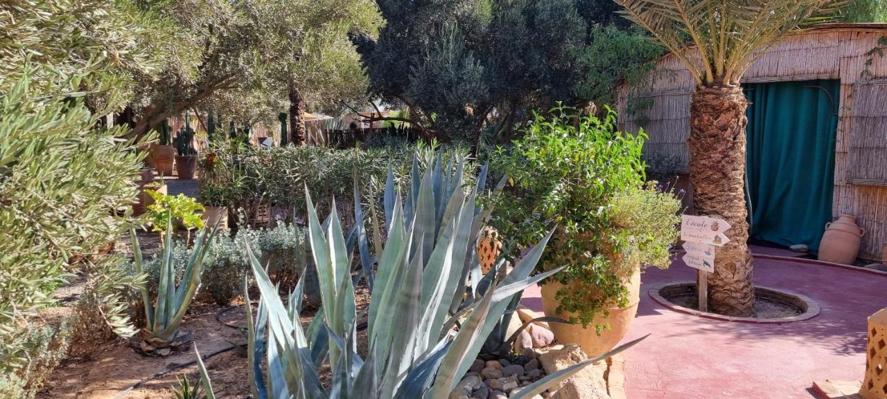 Bed and Breakfast Les Trois Paons à Taroudant Extérieur photo