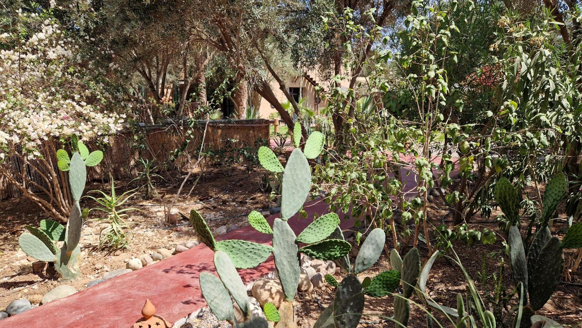 Bed and Breakfast Les Trois Paons à Taroudant Extérieur photo